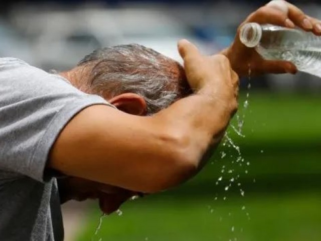 Ms calor de lo habitual para el ltimo tramo del ao